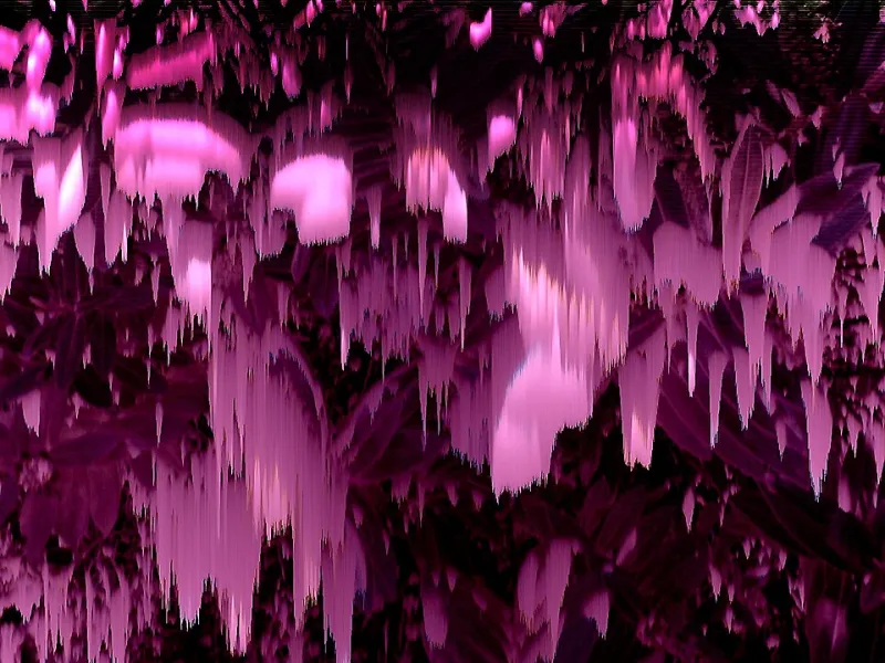 Break on Purpose: The Digital Artists Who Made Failure the Whole Point