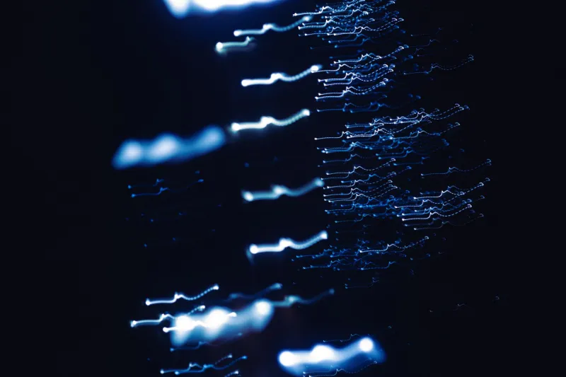 One Click Too Many: The Accidental Pilgrimages Hidden Inside Hyperlink Chains