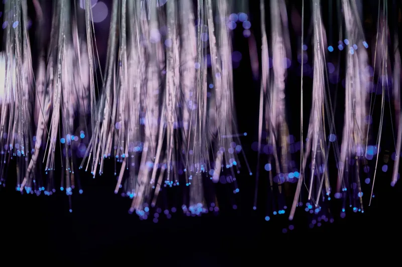 When the Algorithm Came Knocking: What Happens to a Subculture After It Goes Viral